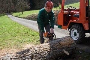 Herstellung einer Walnussschale